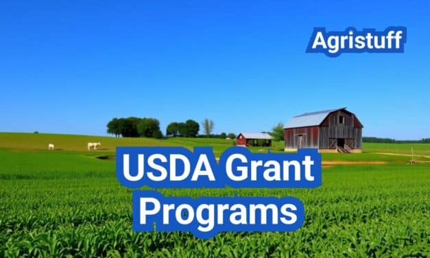USDA Grant Programs: Who Qualifies, How to Apply, and Timelines