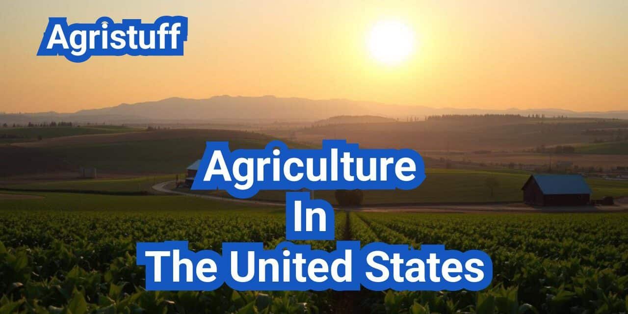 Agriculture In The United States: A Comprehensive Guide
