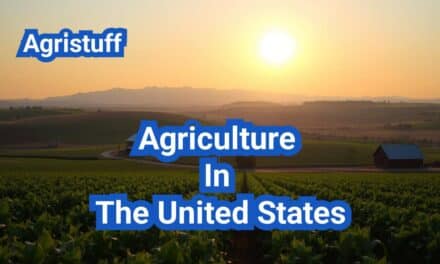 Agriculture In The United States: A Comprehensive Guide