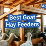 Best Goat Hay Feeders: Designs That Reduce Waste and Keep Hay Clean
