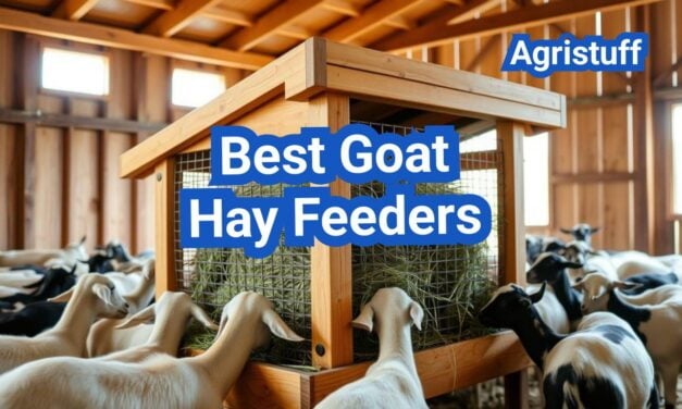 Best Goat Hay Feeders: Designs That Reduce Waste and Keep Hay Clean