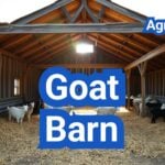 Goat Barn Plans: Ventilation, Bedding, and Winterization for U.S. Climates