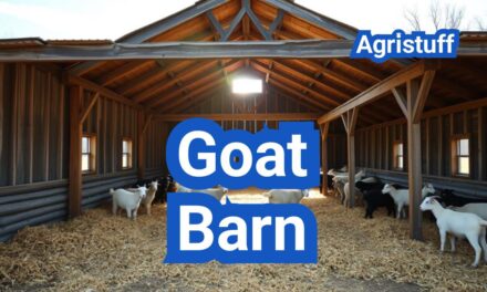 Goat Barn Plans: Ventilation, Bedding, and Winterization for U.S. Climates
