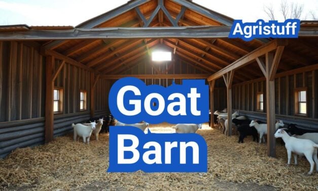 Goat Barn Plans: Ventilation, Bedding, and Winterization for U.S. Climates