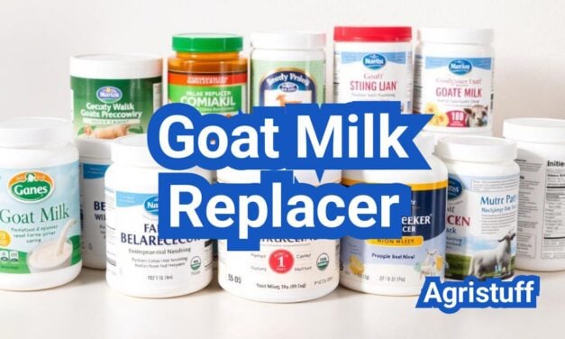 Goat Milk Replacer: Formulas, Mixing Ratios, and Bottle-Feeding Tips