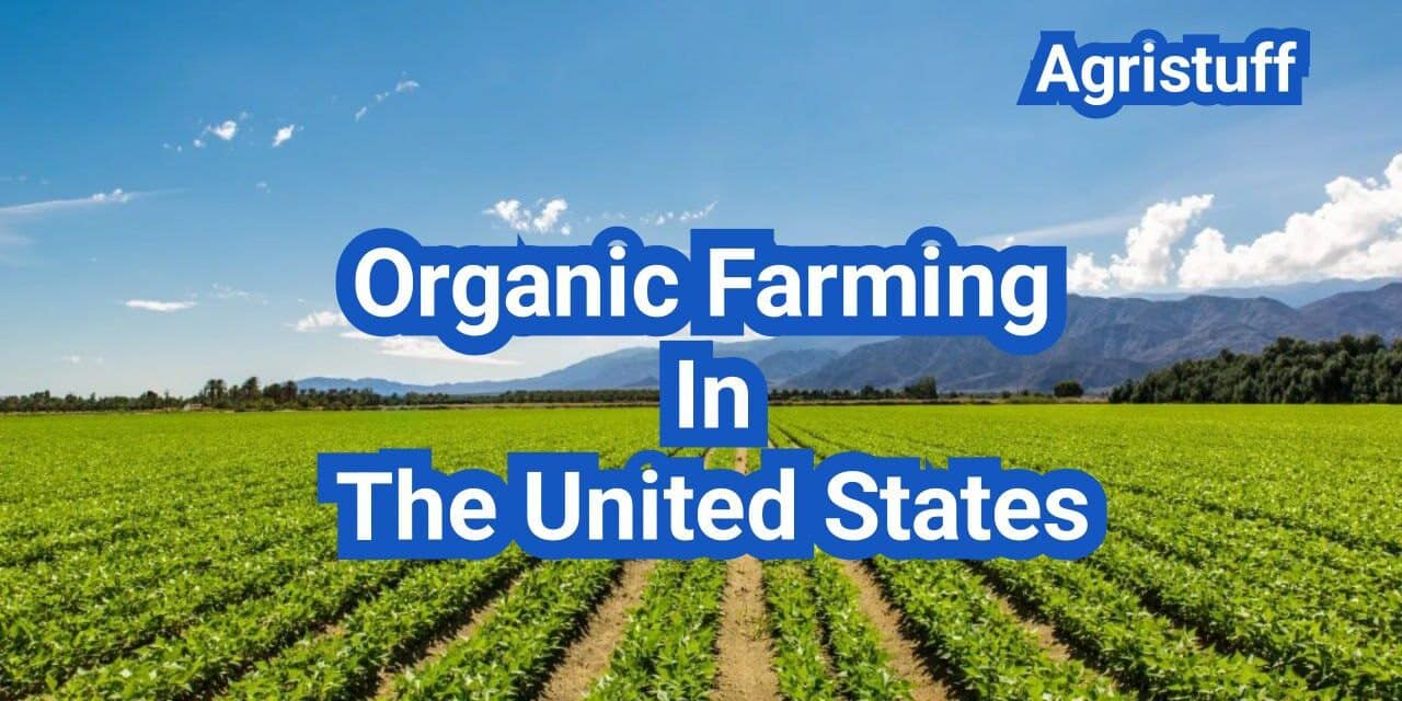 Organic Farming In The United States: A Comprehensive Guide