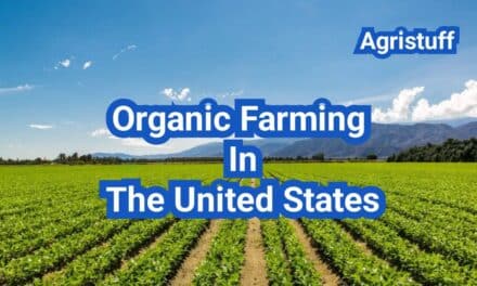 Organic Farming In The United States: A Comprehensive Guide