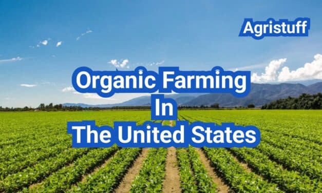 Organic Farming In The United States: A Comprehensive Guide