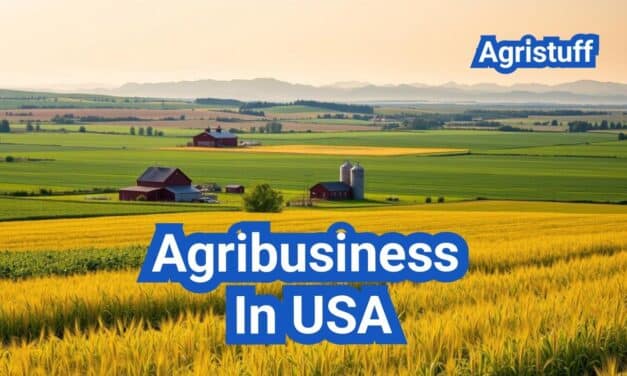 Agribusiness In The United States: A Comprehensive Guide