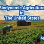 Biodynamic Agriculture In The United States: A Comprehensive Guide
