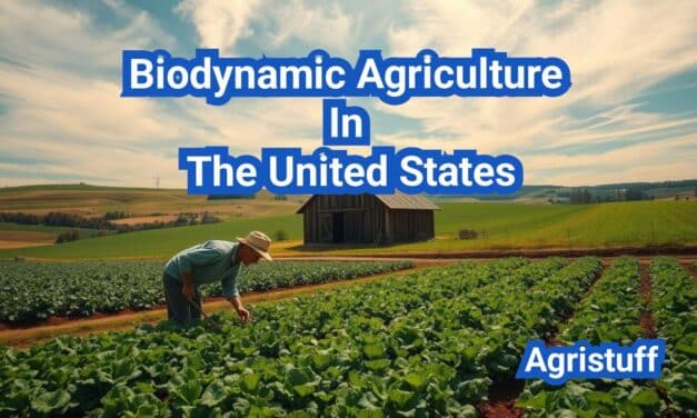 Biodynamic Agriculture In The United States: A Comprehensive Guide