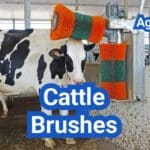 Cattle Brushes: Health Benefits, Placement, and Top Options