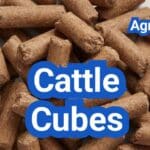 Cattle Cubes: What They Are, When to Use Them, and Cost-Per-Pound Math
