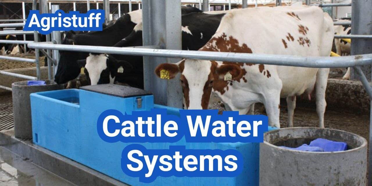 Cattle Water Systems: Flow Rates, Trough Sizing, and Winter Freeze Control