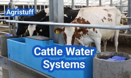 Cattle Water Systems: Flow Rates, Trough Sizing, and Winter Freeze Control