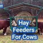 Best Hay Feeders For Cows: Designs, Capacity, and Waste-Reduction Tips