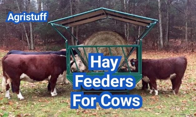 Best Hay Feeders For Cows: Designs, Capacity, and Waste-Reduction Tips