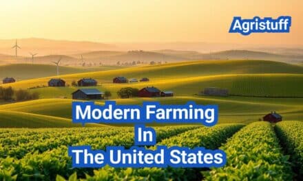 Modern Farming In The United States: A Comprehensive Guide