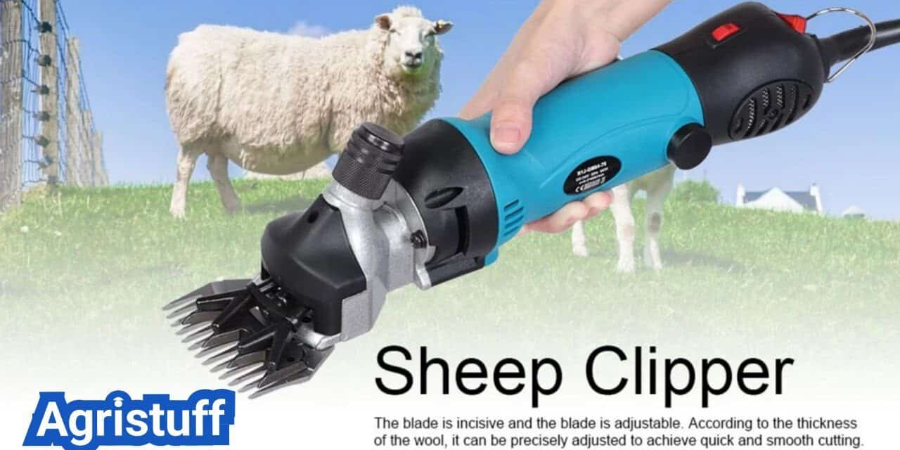 Best Sheep Clippers: Blade Types, Speeds, and Safe Shearing Technique