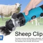 Best Sheep Clippers: Blade Types, Speeds, and Safe Shearing Technique