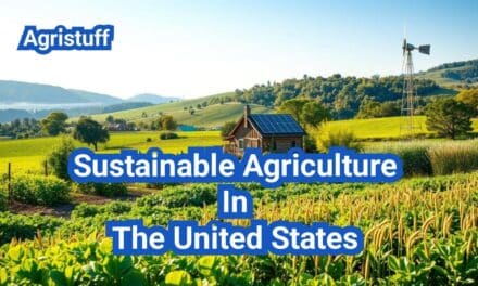 Sustainable Agriculture In The United States: A Comprehensive Guide