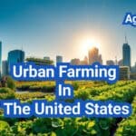 Urban Farming In The United States: A Comprehensive Guide