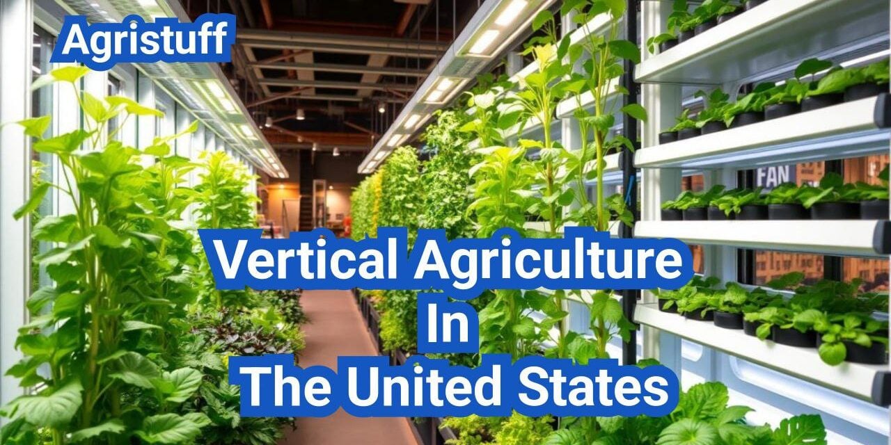 Vertical Agriculture In The United States: A Comprehensive Guide
