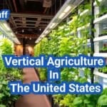 Vertical Agriculture In The United States: A Comprehensive Guide