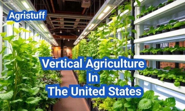 Vertical Agriculture In The United States: A Comprehensive Guide
