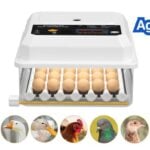 Best Incubator for Chicken Eggs: What to Buy for High Hatch Rates