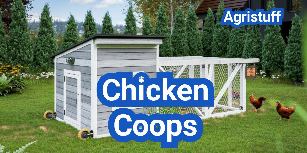 Chicken Coops: Sizes, Ventilation, Materials, and Must-Have Features