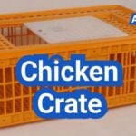 Chicken Crate Basics: Safe Transport, Sizing, and Heat-Stress Prevention