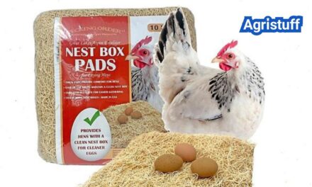 Chicken Nesting Pads: Best Types for Cleaner Eggs and Happier Hens