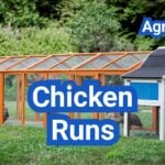 Chicken Runs 101: Predator-Proofing, Shade, and Space Requirements