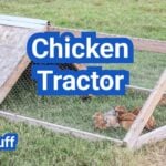 Chicken Tractor Guide: Size, Flooring, Predator Safety And Rotation Plans