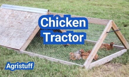 Chicken Tractor Guide: Size, Flooring, Predator Safety And Rotation Plans