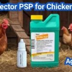 Elector PSP for Chickens: Mite Control Basics and Label-Safe Use Tips