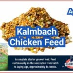 Kalmbach Chicken Feed: Ingredients, Protein Levels, and Who It’s Best For