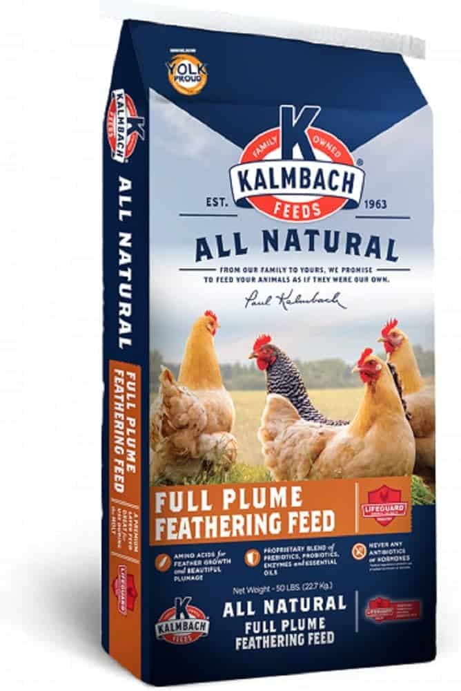 Kalmbach Chicken Feed: Ingredients, Protein Levels, and Who It’s Best For Kalmbach Chicken Feed 8