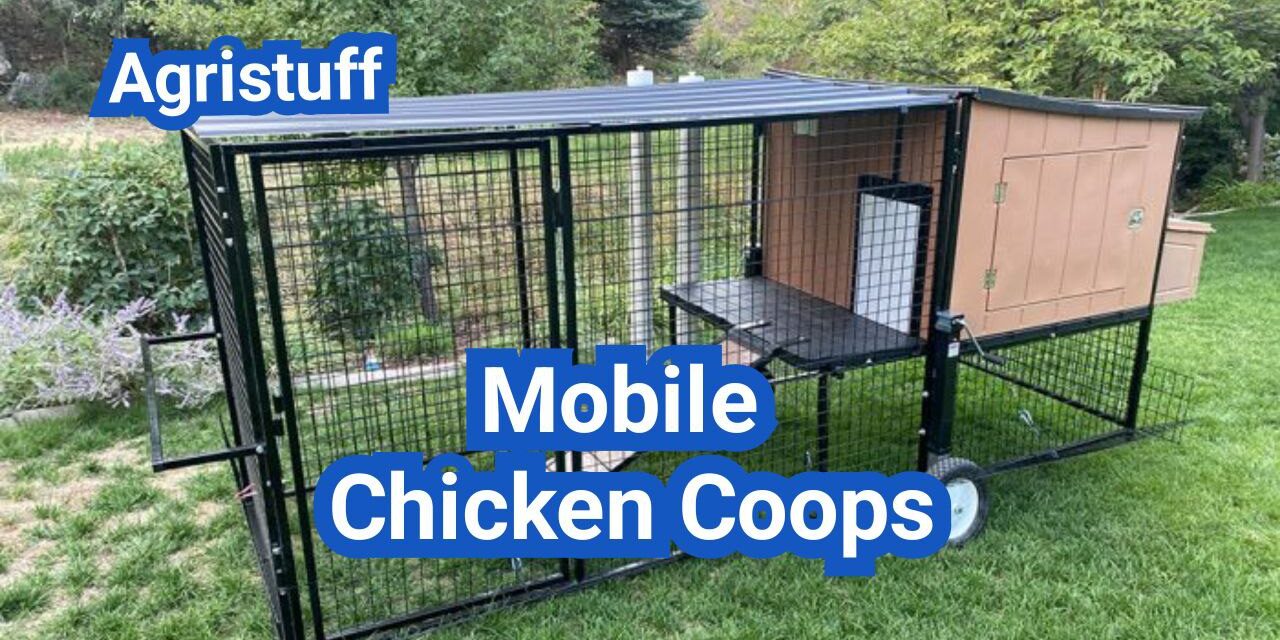 Mobile Chicken Coops: How to Rotate Birds Without Wrecking Your Yard