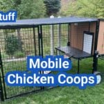 Mobile Chicken Coops: How to Rotate Birds Without Wrecking Your Yard