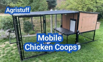 Mobile Chicken Coops: How to Rotate Birds Without Wrecking Your Yard