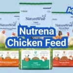 Nutrena Chicken Feed Review: Formulas, Ingredients, and Best Use Cases