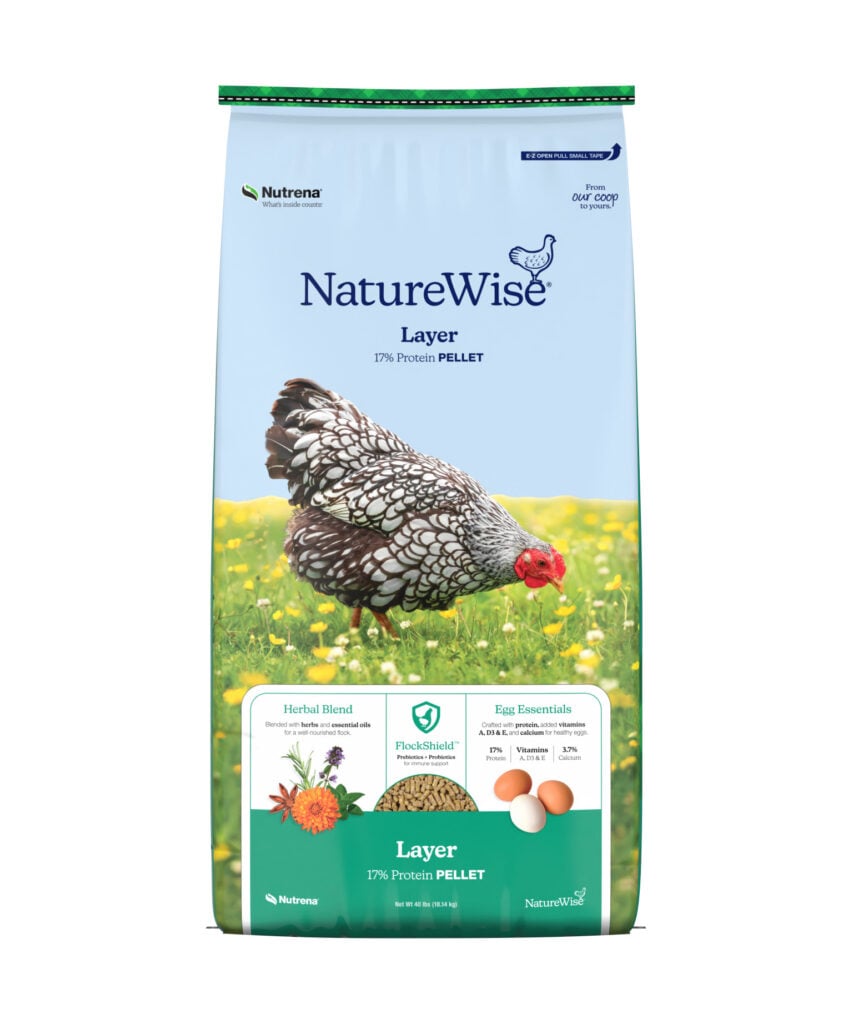 Nutrena Chicken Feed Review: Formulas, Ingredients, and Best Use Cases Nutrena Chicken Feed Review: Formulas, Ingredients, and Best Use Cases