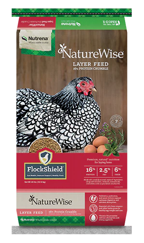 Nutrena Chicken Feed Review: Formulas, Ingredients, and Best Use Cases Nutrena Chicken Feed Review: Formulas, Ingredients, and Best Use Cases