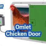 Omlet Chicken Door Review: Features, Install Tips, and Is It Worth It?