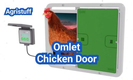 Omlet Chicken Door Review: Features, Install Tips, and Is It Worth It?
