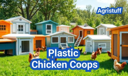 Plastic Chicken Coops: Pros, Cons, and What to Look For Before You Buy