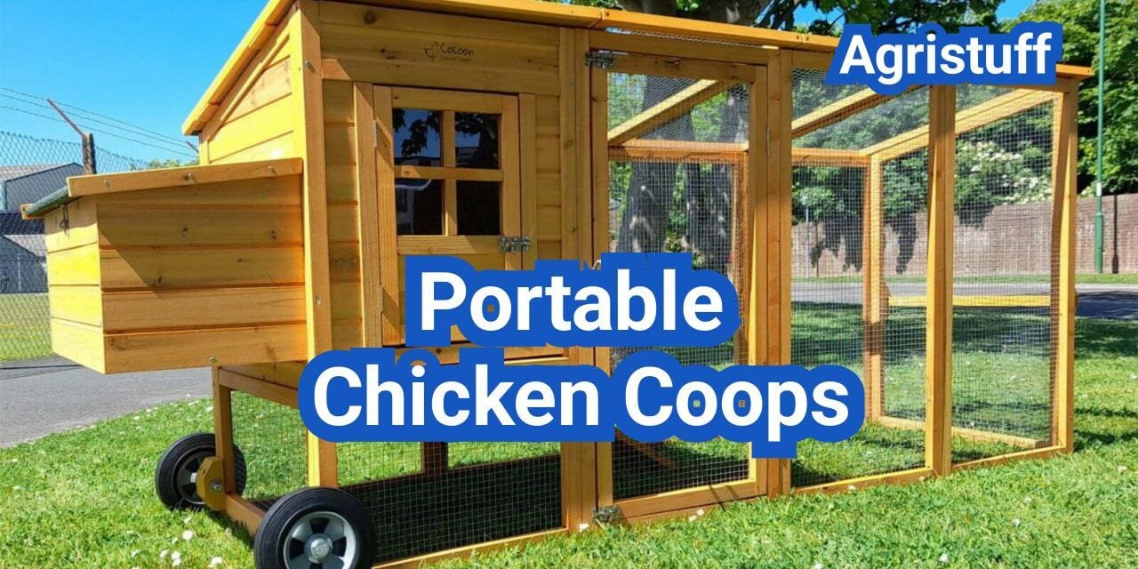 Portable Chicken Coops: Best Designs for Moving Your Flock Safely