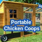 Portable Chicken Coops: Best Designs for Moving Your Flock Safely